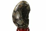 Septarian Dragon Egg Geode - Black Crystals #137944-2
